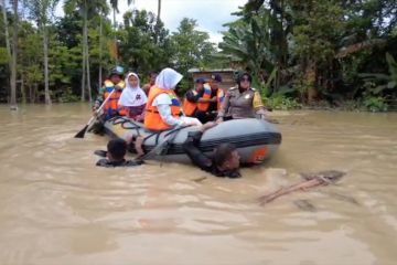 12 kecamatan di Aceh Tamiang terendam banjir
