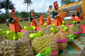 Festival galiek durian di Tanah Datar