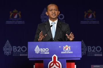 RI dorong sebaran investasi ke negara berkembang lewat Presidensi G20