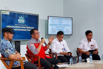 KKP: Produk perikanan berpeluang topang ketahanan pangan