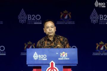 Indonesia Investment Authority fokus investasi di empat jenis industri