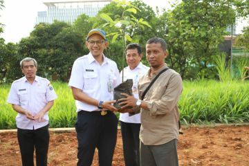 Jakarta Selatan gencar tambah tanaman produktif di AEW Ragunan