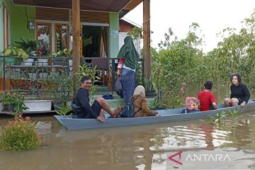 Banjir menggenangi 3.612 rumah penduduk di Kapuas Hulu