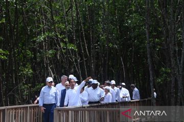 Momen pemimpin negara G20 berkeliling Tahura Ngurah Rai