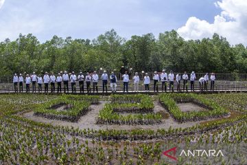 Presiden Jokowi ajak para pemimpin negara G20 menanam mangrove