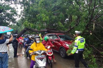 Polisi bantu warga singkirkan pohon tumbang di Jalan Cengkareng