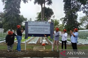 Pupuk Indonesia resmikan kebun pangan percontohan di Bangka Belitung