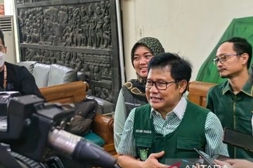 Muhaimin dorong pemerintah evaluasi kebijakan impor beras