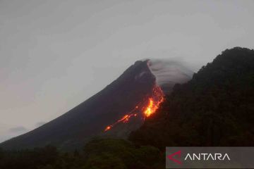 Guguran lava pijar Gunung Merapi