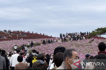 Kasus COVID-19 di Jepang kembali melonjak, WNI diimbau jaga diri