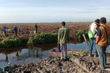 Tim BKSDA pasang perangkap buaya di Kanal RAPP