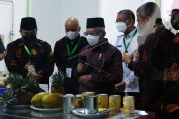 Wapres Kunjungan Kerja Di Pontianak