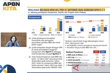 Sri Mulyani: Belanja kompensasi dan subsidi topang PLN dan Pertamina