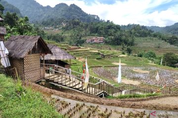 Desa wisata menjamur di Bogor, setahun tambah 15 destinasi