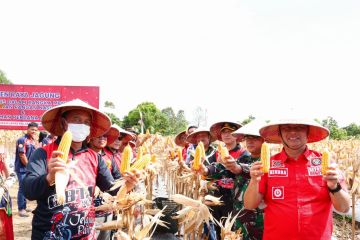 Lapas Sukamara kembangkan pertanian jagung dukung ketahanan pangan