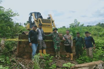 Berkolaborasi memberantas kejahatan kehutanan di Bengkulu