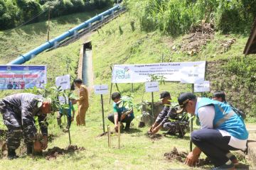 Puluhan ribu pohon ditanam jaga kelestarian alam di Suluttenggo