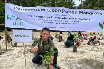 PLN tanam 5.000 mangrove di Sulawesi Tenggara