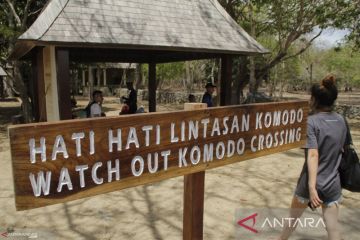 Diskparekraf NTT: Tak ada upaya monopoli dalam pengelolaan TN Komodo