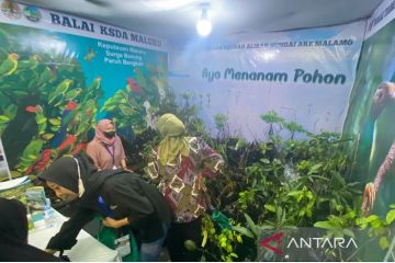 Kementerian LHK bagi-bagi bibit tanaman di Sail Tidore 2022