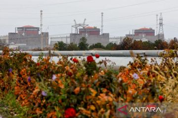 Pengawas nuklir PBB khawatirkan ketinggian air di PLTN Ukraina