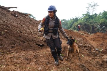 Polda Jabar terjunkan Polwan K9  cari korban gempa Cianjur