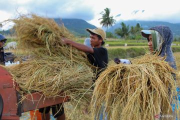 Kaum milenial dan pertanian masa depan