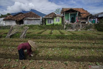 Pemkab Cianjur berikan modal dan pelatihan kewirausahaan korban gempa