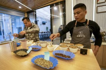 Yunnan di China tingkatkan pariwisata terkait kopi