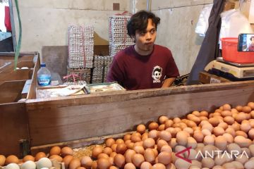 Harga telur ayam di Pasar Cibubur naik jelang akhir tahun