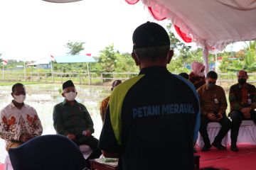 Petani Merauke keluhkan kemahalan harga BBM dan pupuk ke Wapres