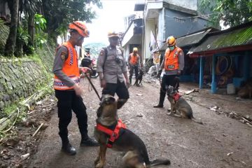 Anjing pelacak K9 diterjunkan cari korban longsor di Cijedil