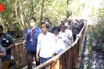 Presiden Jokowi awali hari kedua KTT G20 dengan tanam mangrove