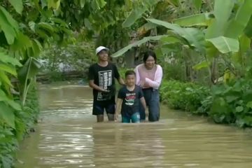 Sungai Batanghari berpotensi banjir, Gubernur Jambi minta bersiap