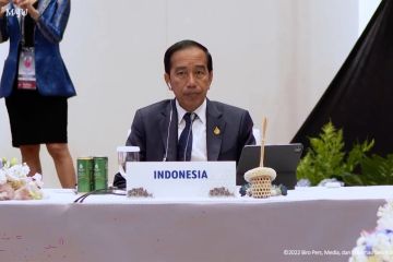 Jokowi sampaikan dua sektor prioritas pemulihan ekonomi global di APEC
