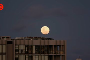 Melihat fenomena gerhana bulan total di Sydney