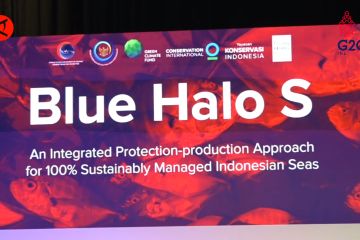 Menteri KP proyeksikan Blue Halo S lindungi kawasan pesisir