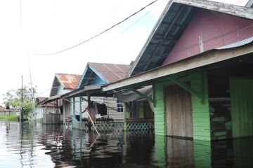 Pemprov Kalteng tinjau lokasi banjir di 18 kelurahan di Palangka Raya