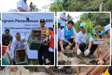 PLN tanam 1.600 pohon dan lepasliarkan 100 ekor burung