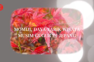 Momiji, daya tarik wisata musim gugur di Jepang