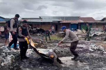 TNI-Polri bersihkan puing-puing kerusuhan Dogiyai