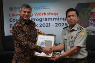 Indonesia-FAO perkuat kerja sama pangan dan pertanian 4 tahun ke depan