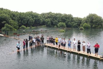 Taman Wisata Alam Mangrove Angke ditanami 1.454 mangrove