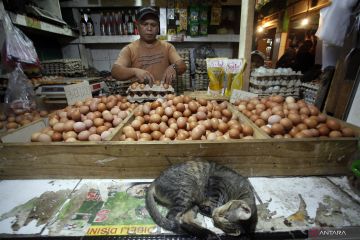 Kemenkeu pertahankan kemudahan dan pemberian insentif PPN