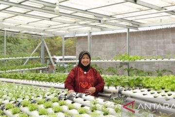 Pertanian urban solusi ketahanan pangan rumah tangga perkotaan