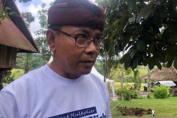 Pemprov Bali tangani kasus rabies dengan skema penanganan PMK