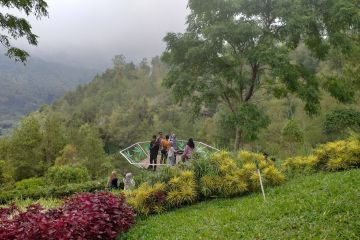 Kawasan Taman Langit Gunung Banyak ditetapkan sebagai shelter tourism