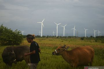 Menapaki upaya pengembangan EBT