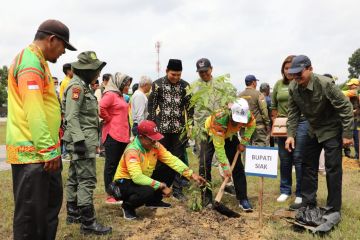 DLHK Riau bagikan 10 ribu bibit pohon di Siak