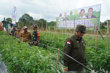 Wamentan sebut ketersediaan pangan jadi sektor dasar pembangunan IKN